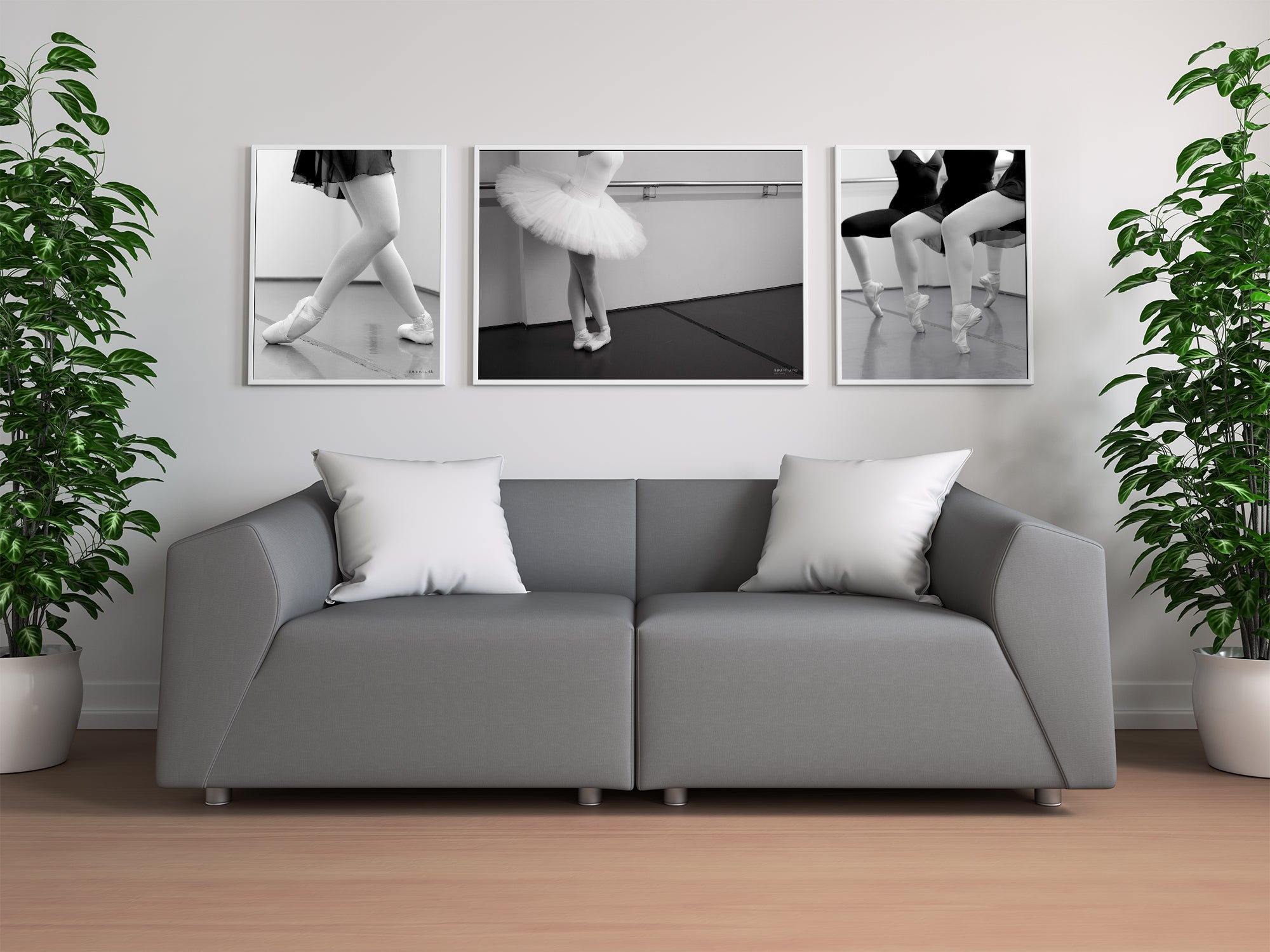 Tendu - Danza Series