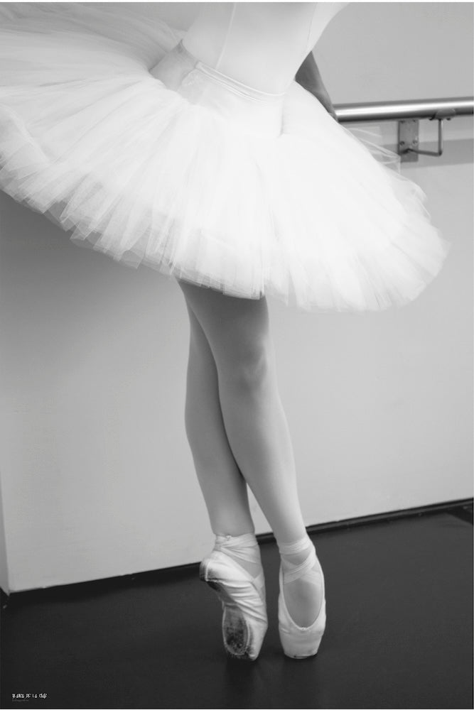 Bailarina - Danza Series